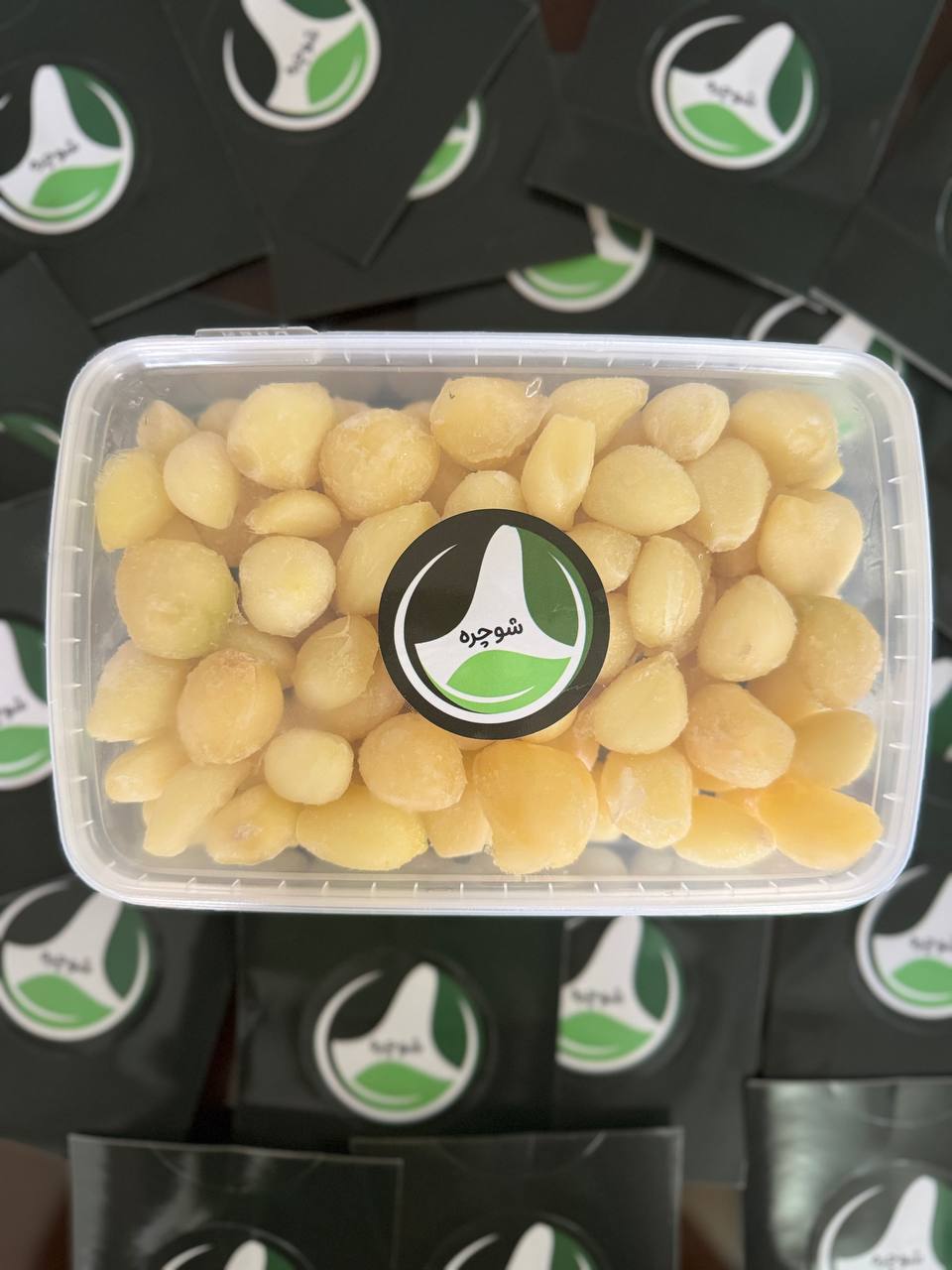 IMG_20240908_095241_806