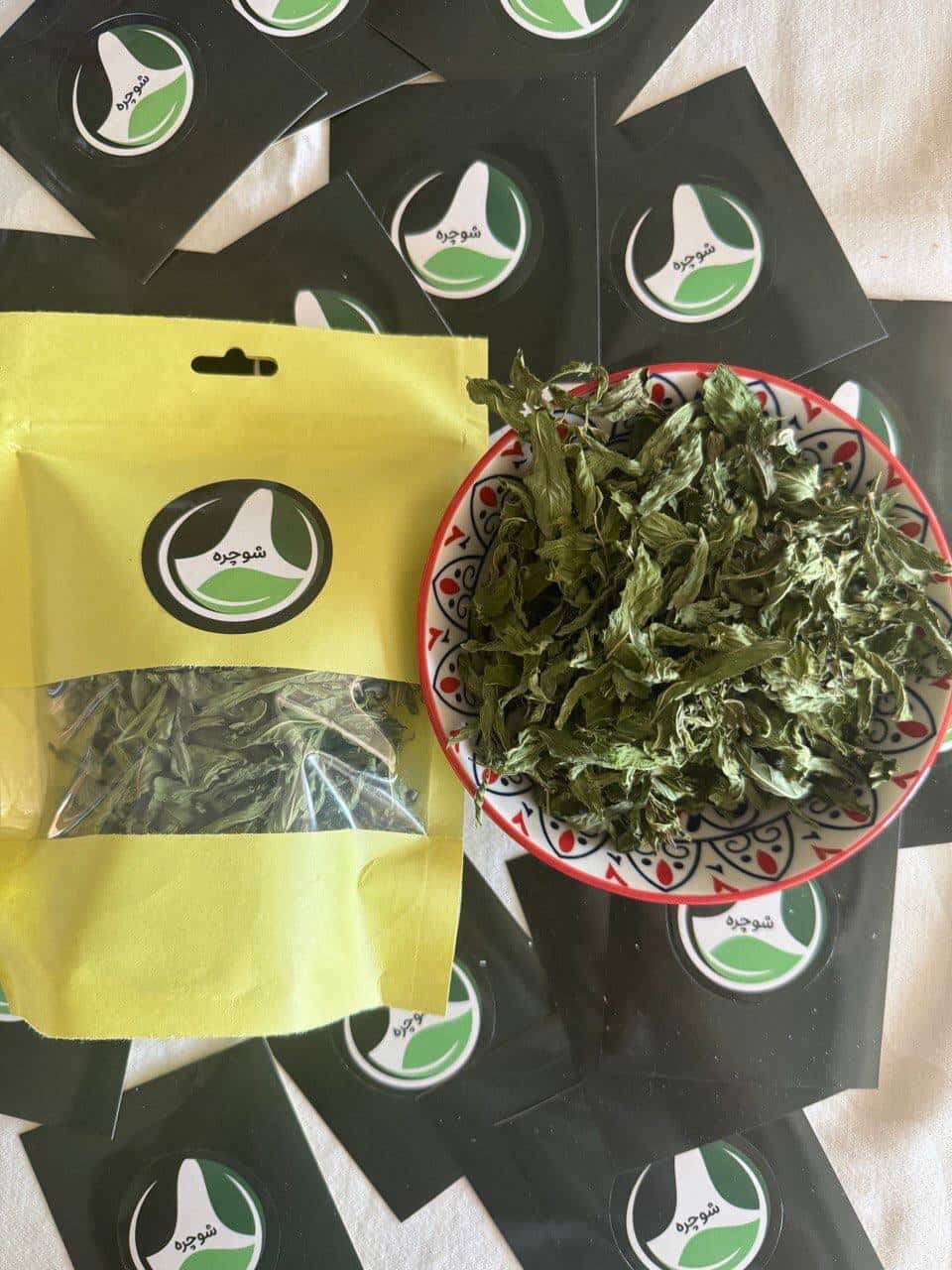 IMG_20241016_102312_173-min