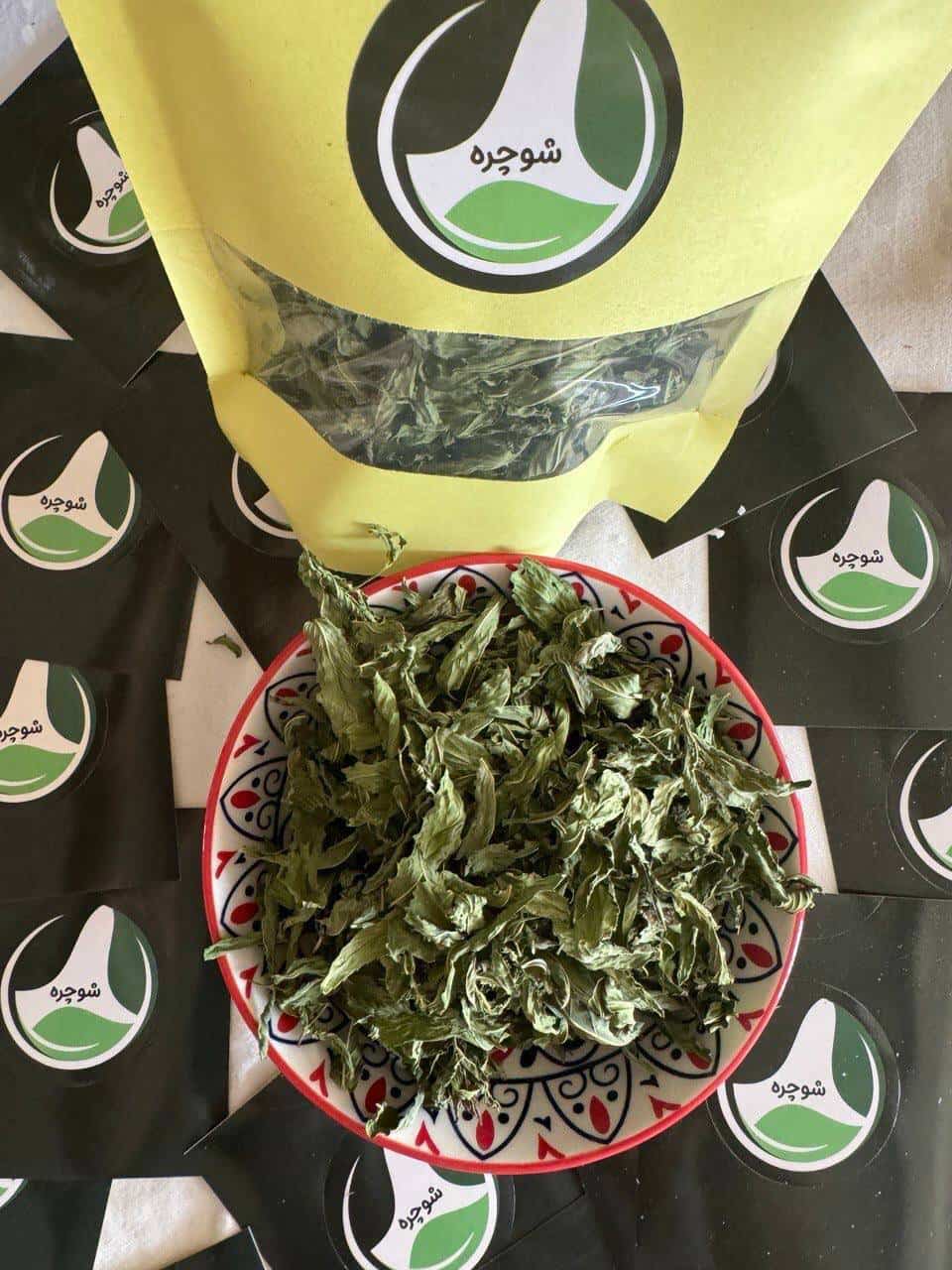 IMG_20241016_102312_501-min