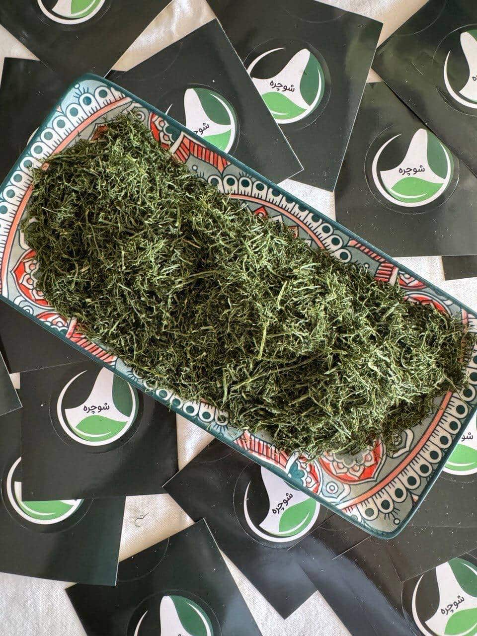 IMG_20241016_102315_015-min