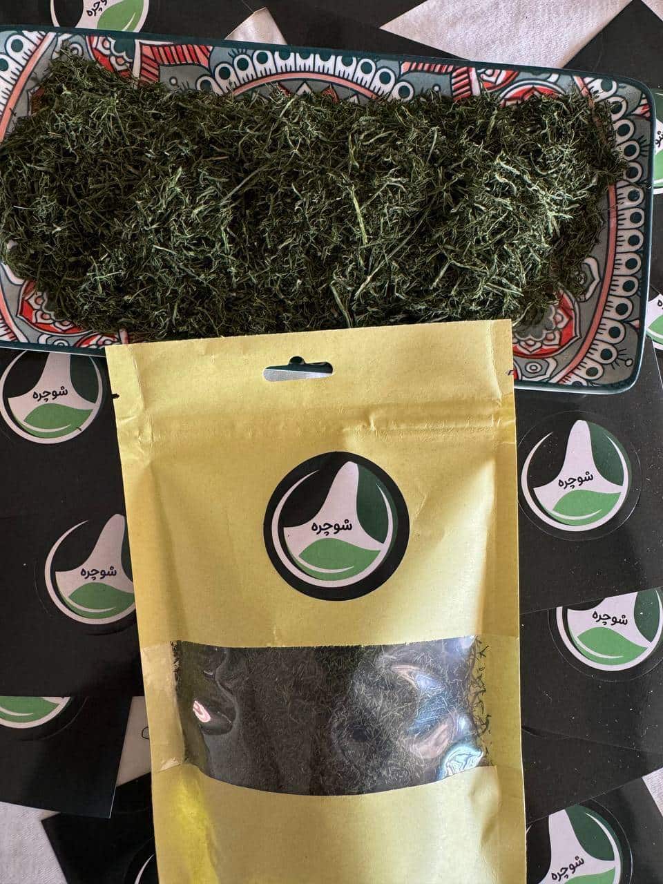 IMG_20241016_102321_172-min