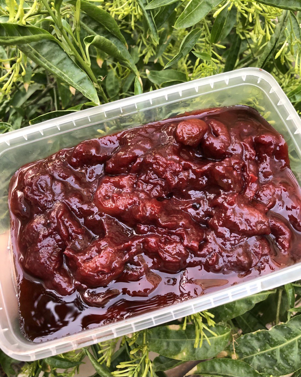 IMG_20240908_095224_249